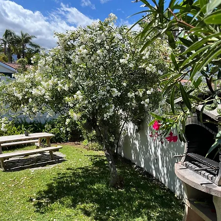 Dom wakacyjny Casa Janni With Heated Private Pool Puerto de la Cruz (Tenerife)