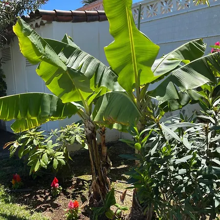 Casa Janni With Heated Private Pool *